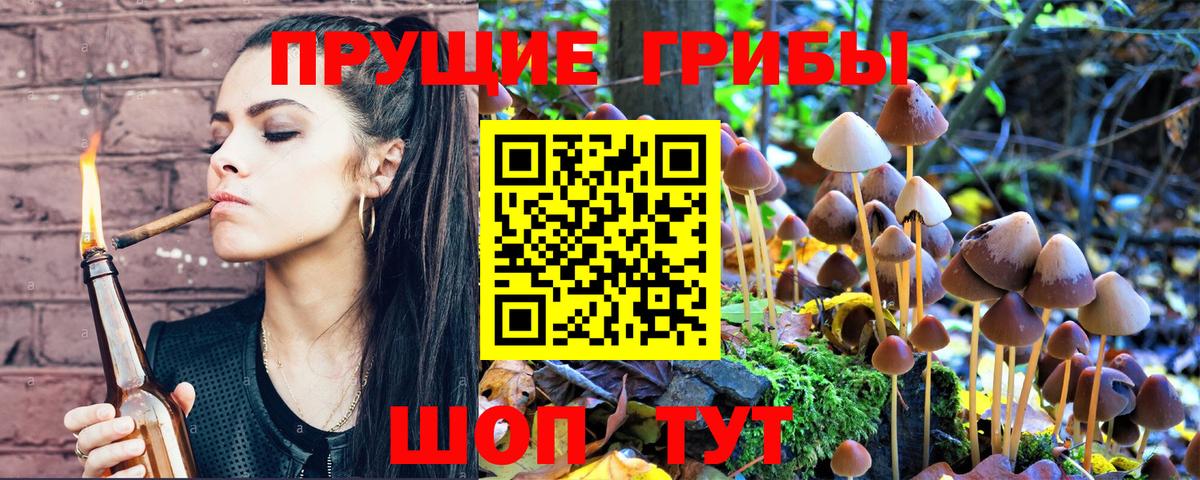 Галлюциногенные грибы мухоморы  Вход с VPN  Псилоцибиновые грибы Psilocybine cubensis  Вятские Поляны 